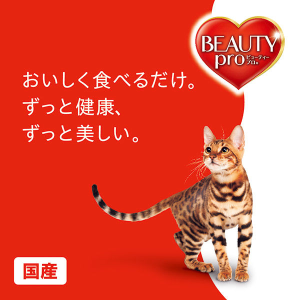 ビューティープロ　1歳　8袋 楽天市場】ビューティープロ キャット 成猫用 1歳から チキン味