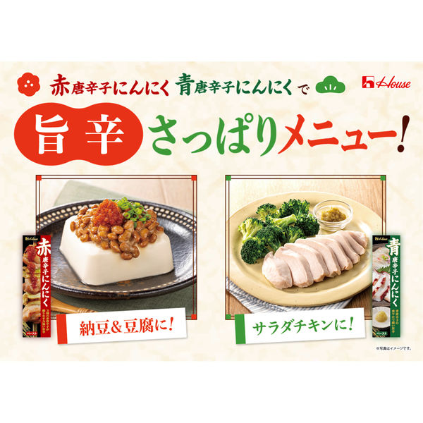 青唐辛子にんにく 40g 3個 ハウス食品 薬味 焼鳥 刺身 鍋 そうめん - アスクル