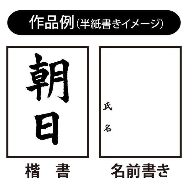 あかしや 兼毛書 写楽 入門用書写筆 フィットグリップ 二本組A 太筆3号