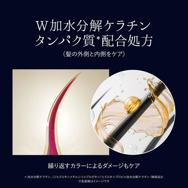 トリートメント bamks トゥルー マッシュルーム LX トリートメント トナー – ザセム