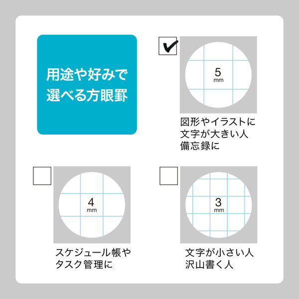 オキナ プロジェクトハーフノート 13inch 5ミリ方眼 PH135S 2冊（直送品） - アスクル