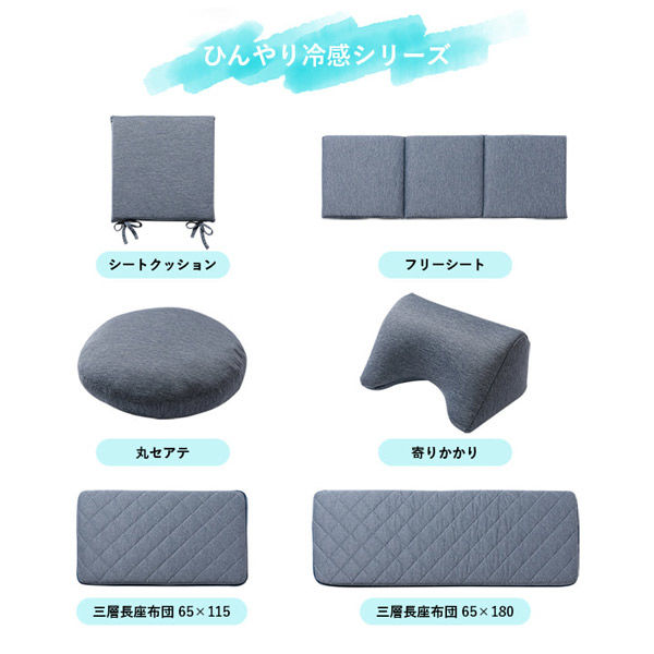 イケヒコ・コーポレーション クッション 冷感 フロスト