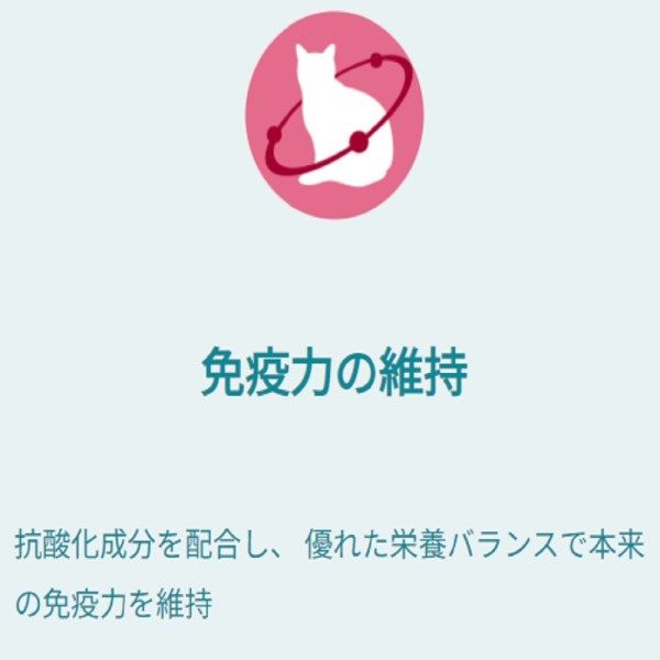 ピュリナワン 猫 総合栄養食 1歳までの子ねこ用/妊娠・授乳期の