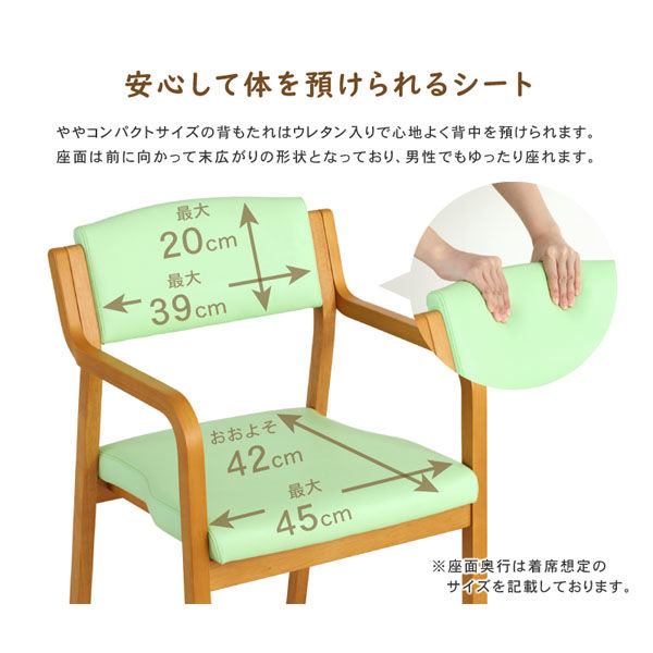 軒先渡し】貞苅椅子製作所 Careシリーズ 高齢者向け介護イス