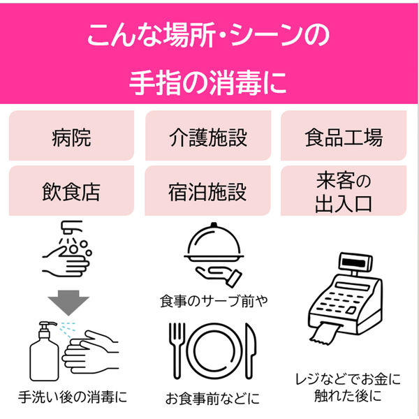 ライオン サニテートa 4L x  2本　即日発送 Amazon.co.jp: ライオンハイジーン サニテートAハンドミスト 詰