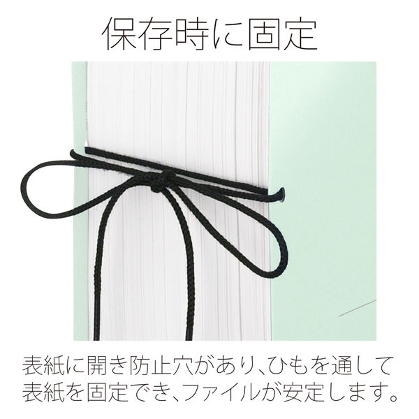 プラス 背幅伸縮フラット セノバスエコノミー 統一伝票用 ブルー 88315