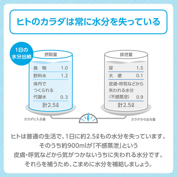 大塚製薬 ポカリスエット イオンウォータースティック（180ml用） 1