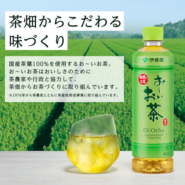 伊藤園 おーいお茶 緑茶 レンチン可 ホット＆コールド 345ml 1箱（24本入） お茶 緑茶 日本茶 - アスクル