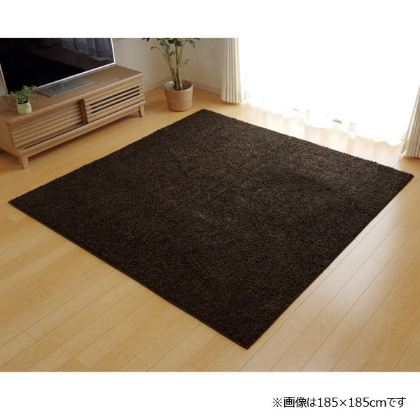 イケヒコ・コーポレーション マットーネ 平織 ブラウン 190×240cm