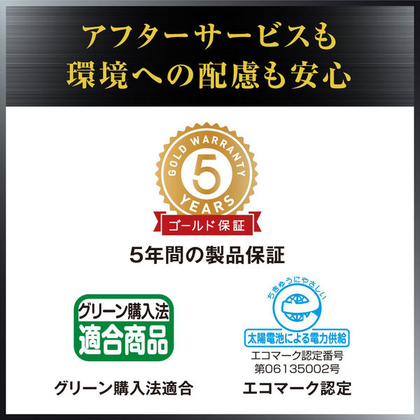 カシオ計算機 カシオ 本格実務電卓 日数・時間計算 DS-20DC-N 1