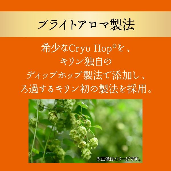 ビール キリンビール グッドエール 350ml 缶 2ケース(48本) - アスクル