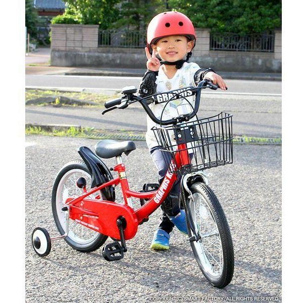 送料無料 GRAPHIS (グラフィス) 子供用自転車 18インチ GR-16