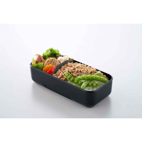 岩崎工業 弁当箱 800ml 1段 イージーケアランチボックススリム1段800