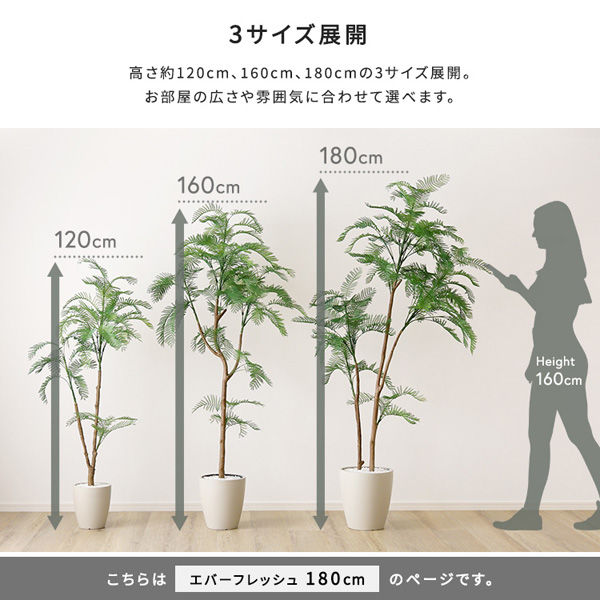 フェイクグリーン エバーフレッシュ Lサイズ 高さ1800mm