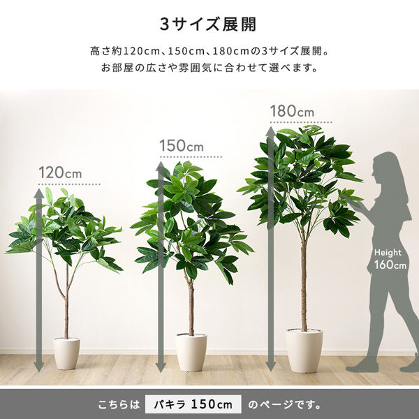 フェイクグリーン パキラ Mサイズ 800×1500mm※葉の広げ方によって 