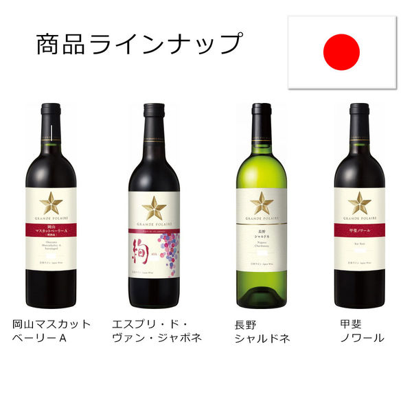 グランポレール 長野シャルドネ 750ml 日本 白 辛口 白ワイン