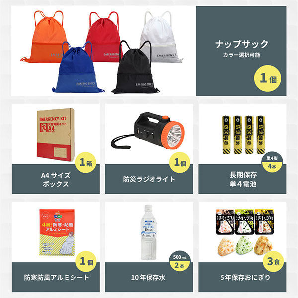 A4 防災セット 基本内容ボックス1プラス ブルー 10セット 非常用