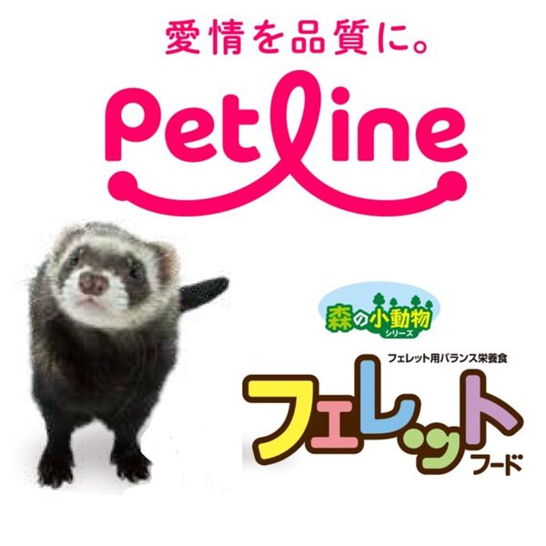 森の小動物シリーズ フェレットフード 500g ペットライン - アスクル