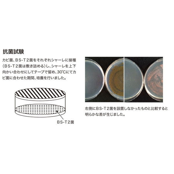 パワーバイオ エアコンのカビきれい 1セット（2個） コジット - アスクル