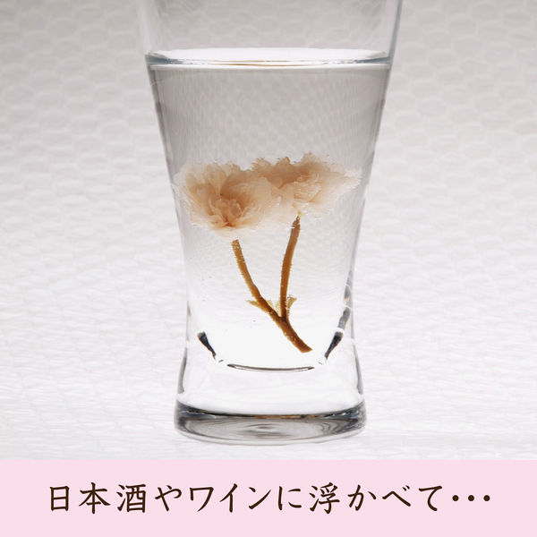 新品未開封　キストゥヘヴン　桜花賞　アバンティー　Ｓサイズ ◇シアーハイソックス(25D) 靴下（ソックス） | Doll Kiss