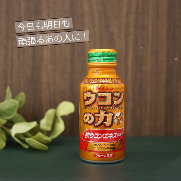 ハウスウェルネスフーズ ウコンの力 100ml 1セット（6缶入×2箱 ...