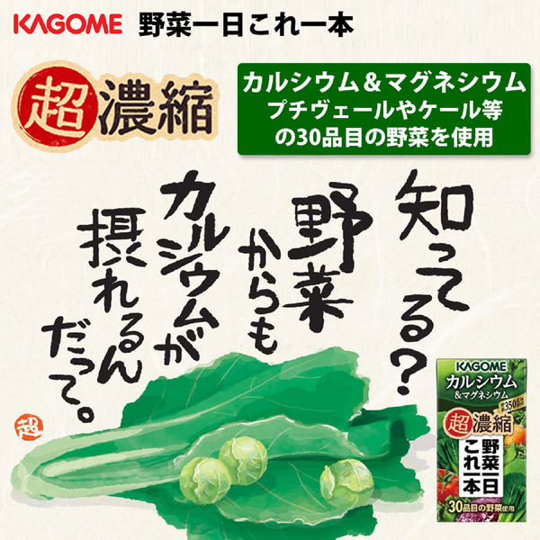 カゴメ　野菜一日これ一本　３０缶　１９０g 健康維持　朝食　野菜不足　登山 Amazon.co.jp: カゴメ 野菜一日これ一本 190g缶×30本(食物繊維