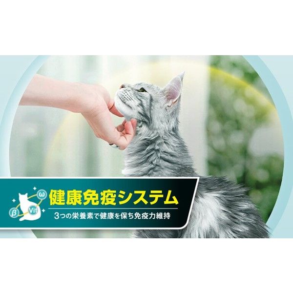 ピュリナワン 猫 避妊・去勢した猫の体重ケア チキン 2kg 1袋