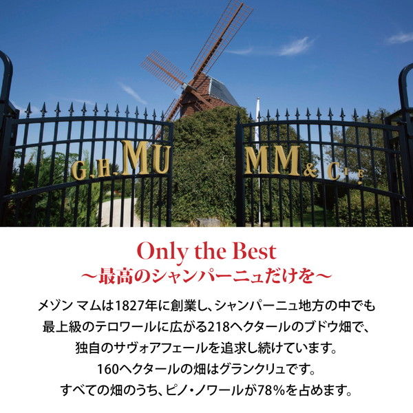 フランス シャンパン マム コルドン ルージュ ハーフ 箱入 白 フランス シャンパン マム コルドン ルージュ ハーフ 箱入 白