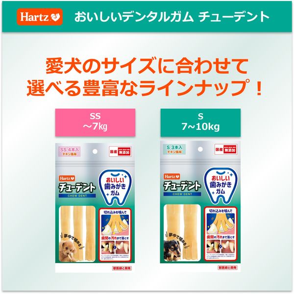 Hartz（ハーツ）チューデント S 国産 3本入 1個 犬 おやつ