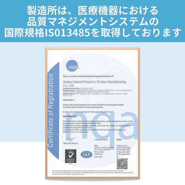 10箱セット】RABLISS N99防護マスク 10枚入 小林薬品 KO336 しめ 10箱セット】RABLISS N99防護マスク 10枚入 小林薬品 KO336 しめ