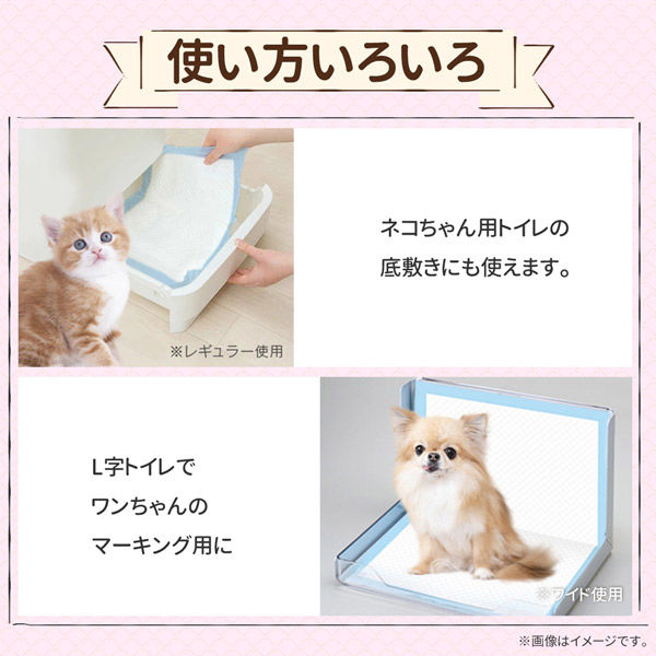 ペットシーツ 薄型 レギュラー(800枚) ペットシート トイレシート 犬 猫 大容量 業務用 まとめ買い うさぎ 小動物 使い捨て ケース（直送品）