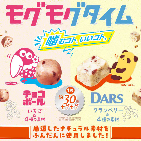 ミニチョコ付き 森永ダースチョコレート2種16箱 - 菓子