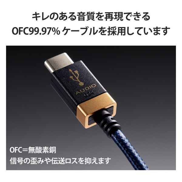 タイプCケーブル (C to C) 1m 高耐久 ハイレゾ対応 ネイビー DH-TCC10