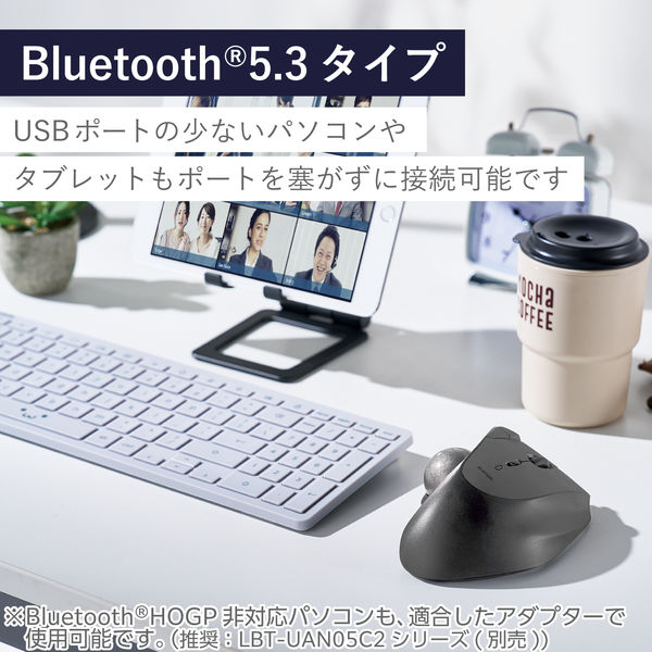 トラックボール マウス Bluetooth 5ボタン 人工ルビーユニット 黒 M