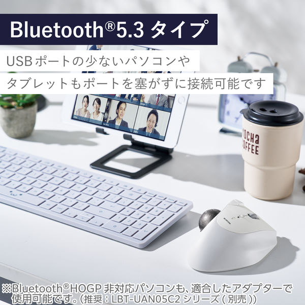 トラックボール マウス Bluetooth 5ボタン 人工ルビーユニット 白 M-IT10BRWH 1個 エレコム - アスクル