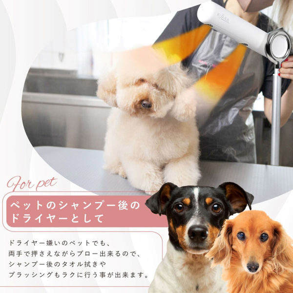 QUADS BISARA ハンズフリー ヘアドライヤー QUADS 【BISARA公式】 ビサラ BISARA ハンズフリースタンド