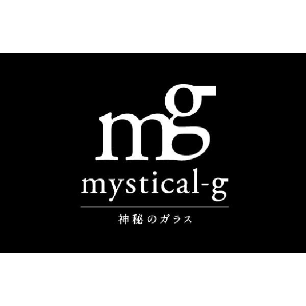 アジリティ #8900071 mystical-g コーティングキット 1箱(直送品) アジリティ #8900071 mystical-g コーティングキット 1箱(直送品)