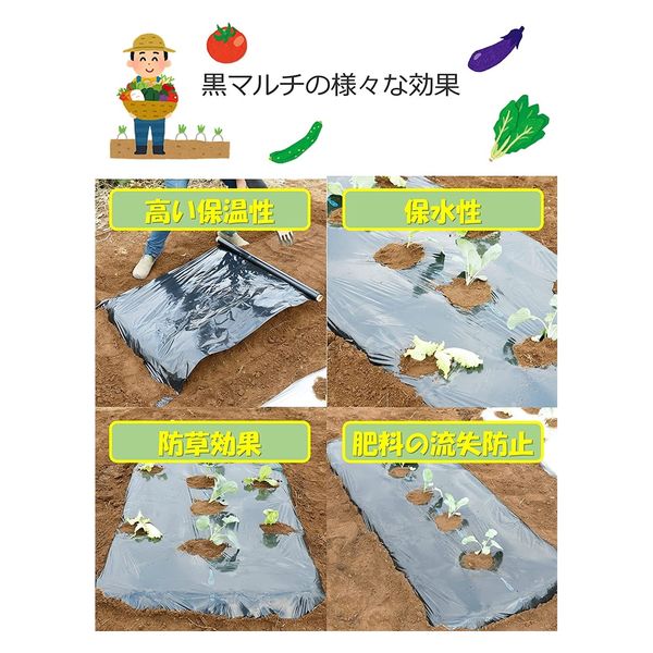 岩谷マテリアル 岩谷 菜園用黒マルチ 0.02mm×1350mm×50m 2100735 1巻
