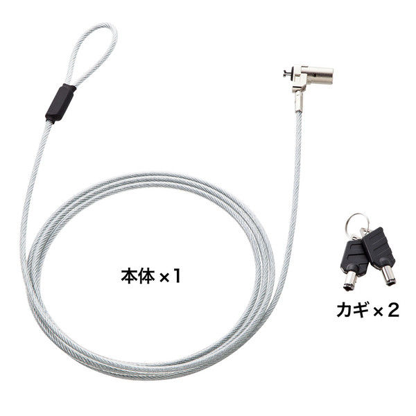 サンワサプライ 超小型シリンダセキュリティ（eセキュリティ・鍵No.2） SLE-25S-2 1個（直送品）