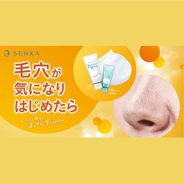 専科 パーフェクトホイップ アクネケア (医薬部外品) 120g 専科 パーフェクトホイップ アクネケア (医薬部外品) 120g