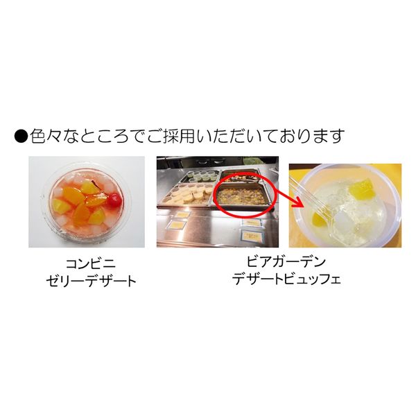 業務用」 フジッコ 業務用 国内産ナタデココ 500g×10個 4902553002363