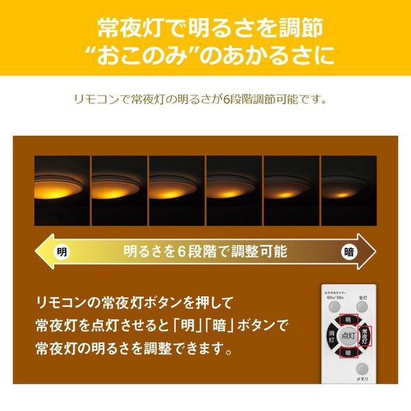 TOSHIBA LEDシーリングライトのリモコン 【GINGER掲載商品