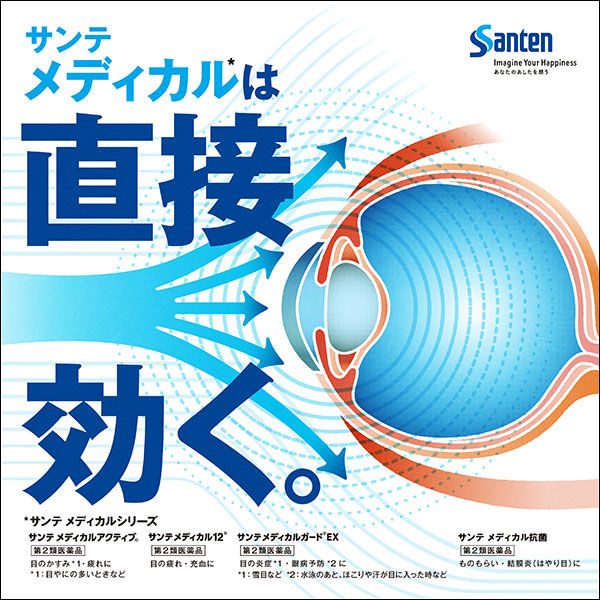 サンテメディカルガードEX 12ml 参天製薬　目薬 乾燥・紫外線による目の炎症・目の疲れ 雪目 角膜ダメージ【第2類医薬品】