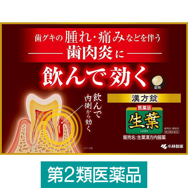 生葉漢方錠 84錠 小林製薬【第2類医薬品】 アスクル