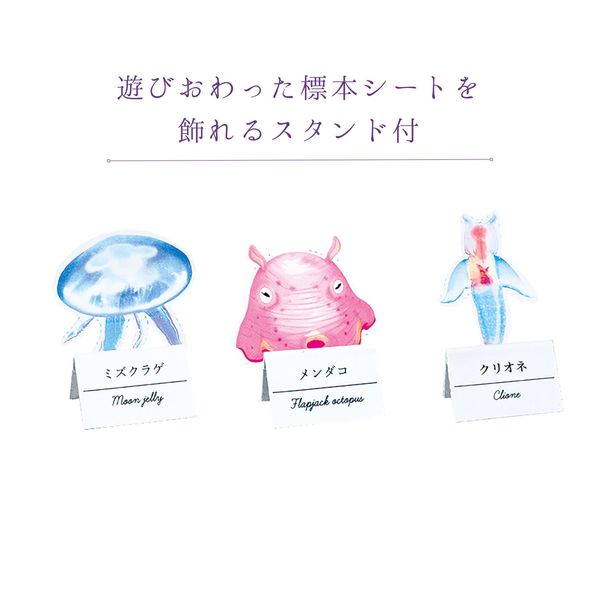 クツワ 透明標本せっけんをつくろう・生物 PT211B 1個 - アスクル