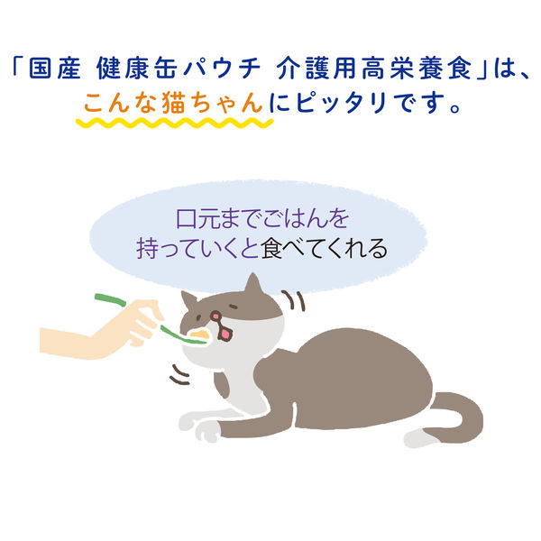 健康缶 介護用 高栄養食 とろとろまぐろペースト 国産 30g 12袋 キャットフード 猫用 パウチ - アスクル