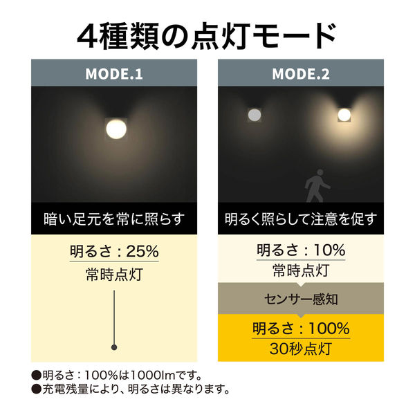 タカショー ソーラーウォールライト META LGS-EL06 1個（直送品