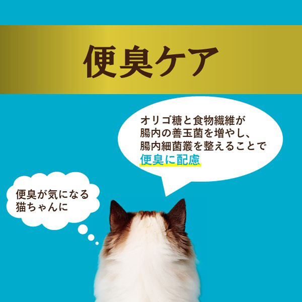 i CARE アイケア 水分補給 まぐろペースト 35g x216袋セット Amazon.co.jp: i CARE アイケア 水分補給 まぐろペースト 35g 12