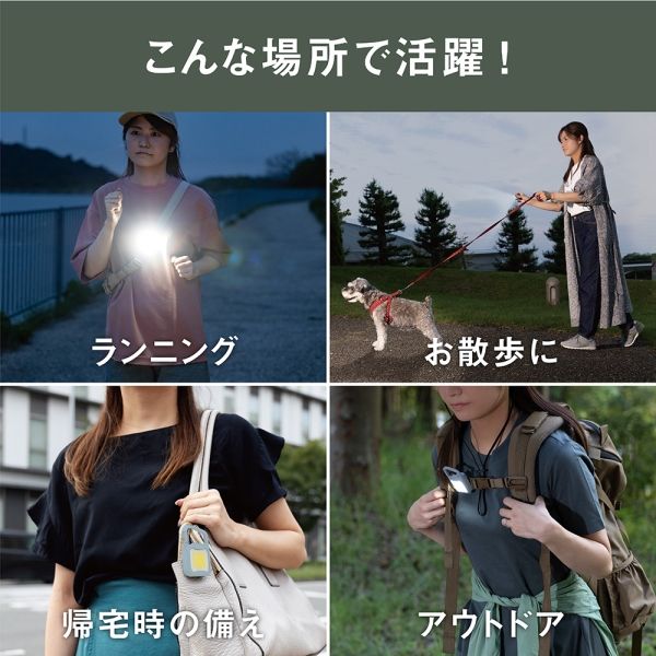 充電式ぴかり MINI LIGHT ダスティブルー 1個 ムサシ 犬用 お
