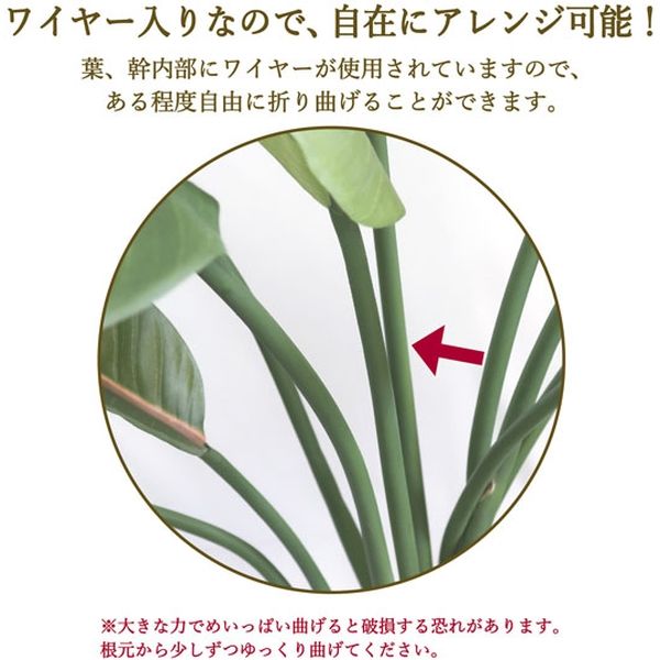 ササガワ フェイクグリーン・人工観葉植物 ストレリチア Lサイズ